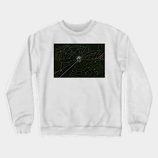 Spider and Its Web - Early Morning Light Crewneck Sweatshirt